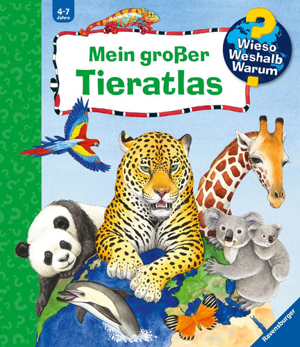 Wieso weshalb warum - wieso?, weshalb?