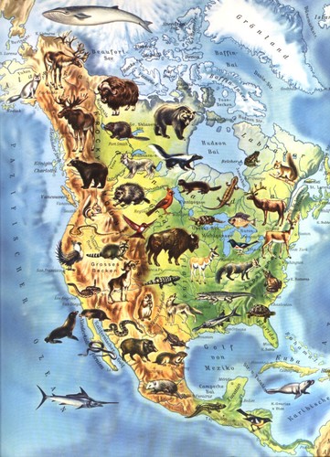 Der große welt tieratlas - welt, für